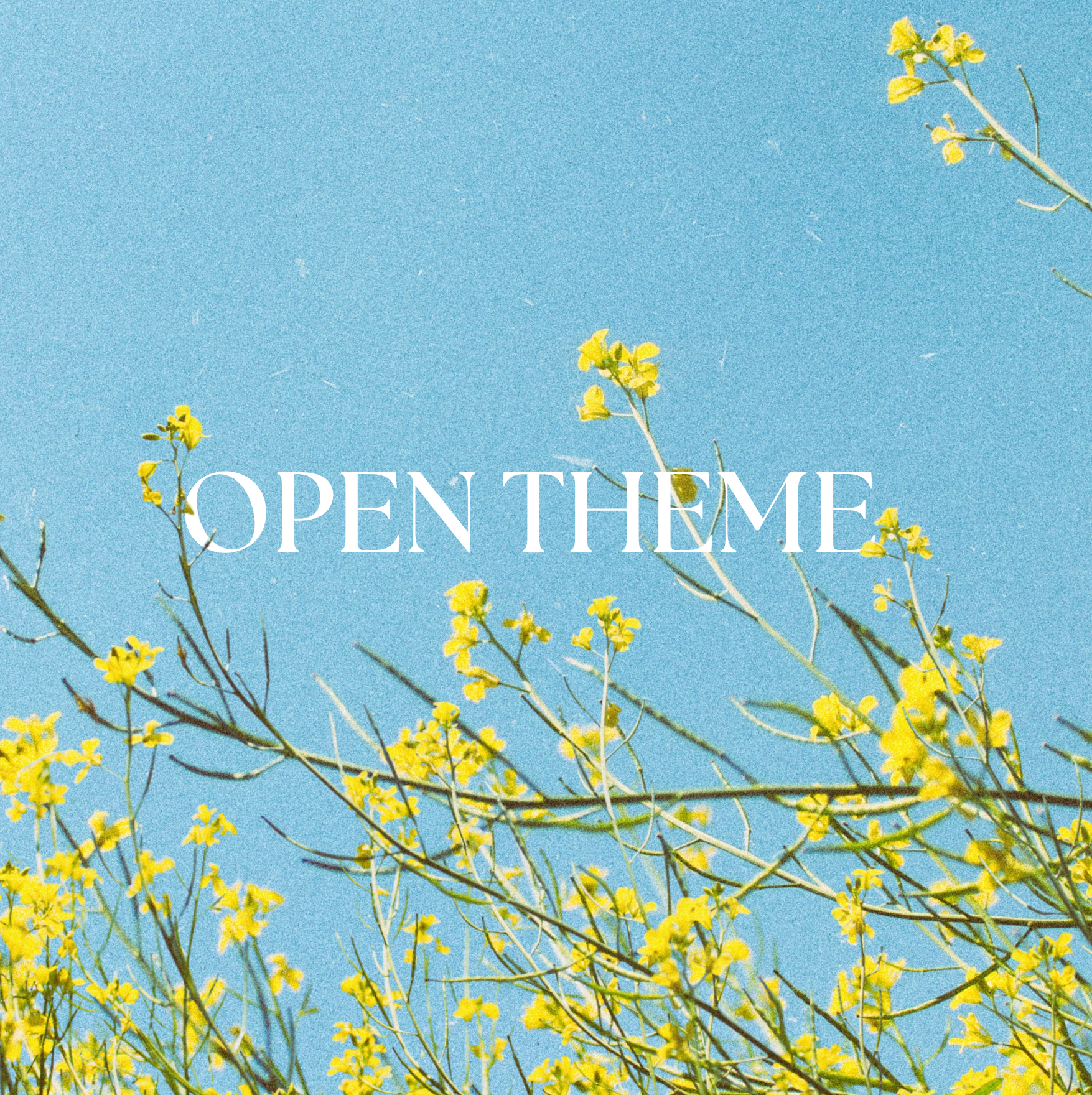 Copy of OPEN THEME - Spring 2025