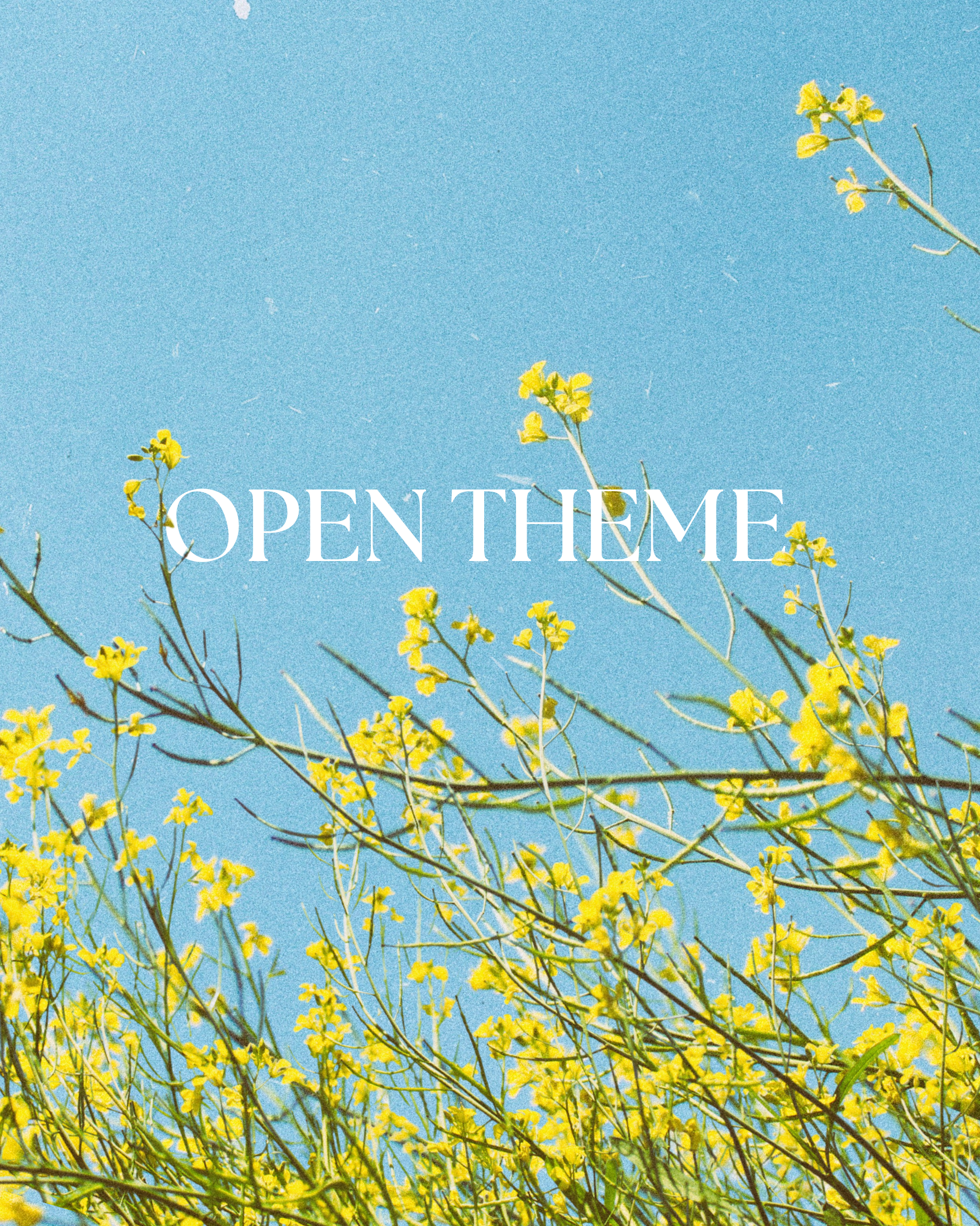 Copy of OPEN THEME - Spring 2025